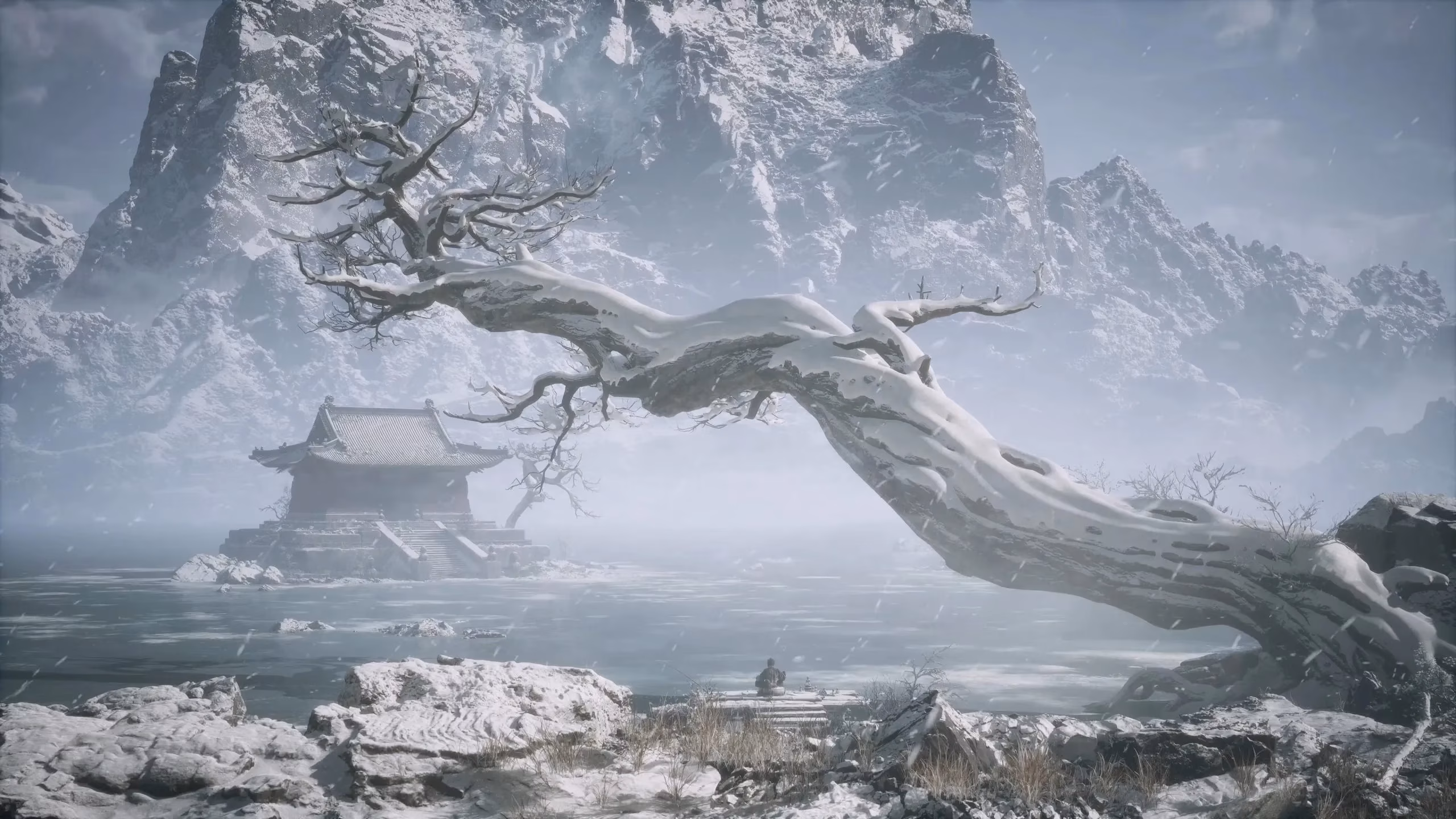 black-myth-wukong-in-2026-how-game-science-tackled-its-biggest-flaws-a-players-perspective-image-0